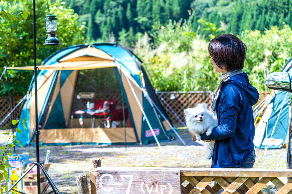 N.E.W Okunagara Campsite & WANKO, a campsite for dog lovers
