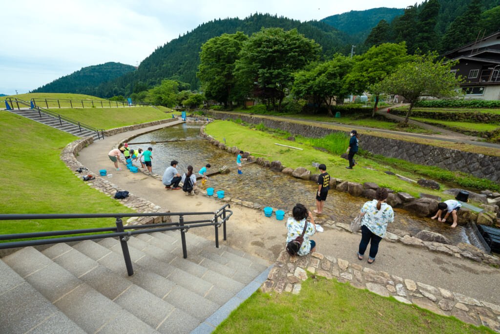 Go on a day tour in summer with touching and playing with Ayu fish at Clear Stream Nagaragawa Ayu Park