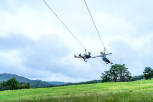 Zipline Adventure Hirugano image