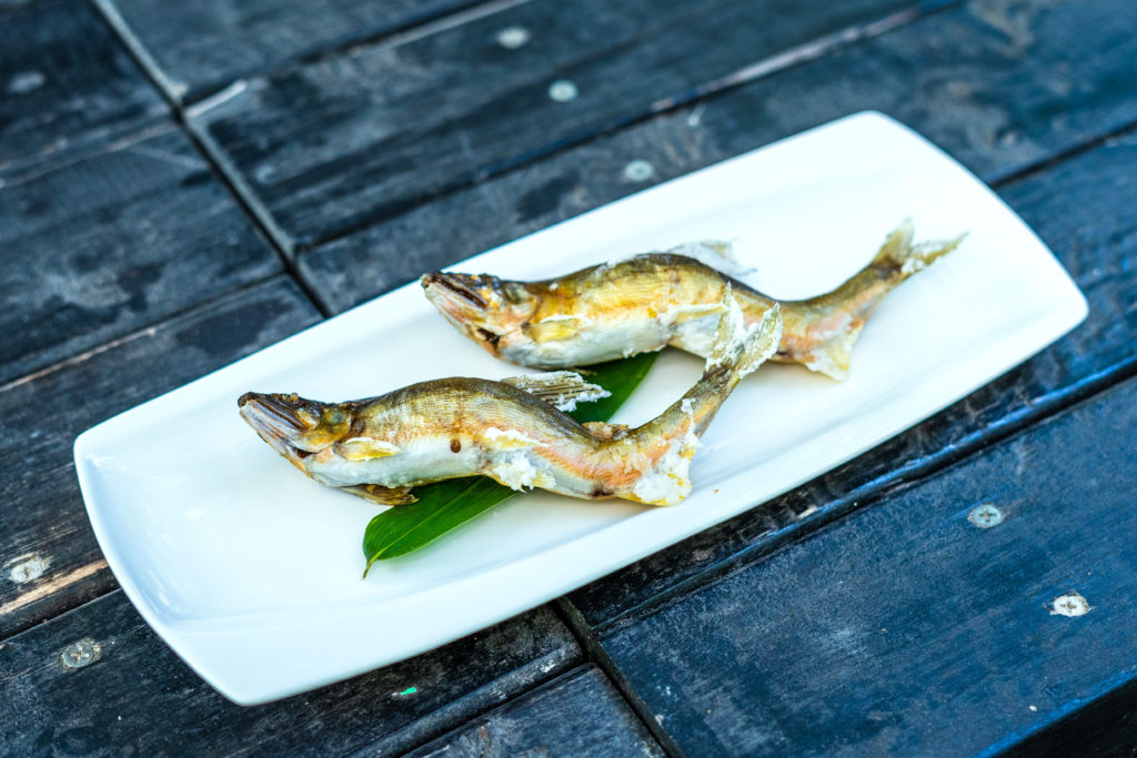 Interview with a salt grilled Ayu master in Gujo!