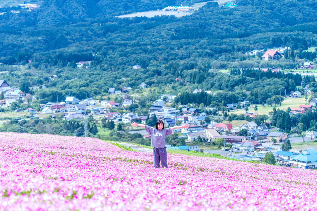 Hirugano Picnic Gardenのイメージ