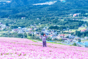 Hirugano Picnic Garden image