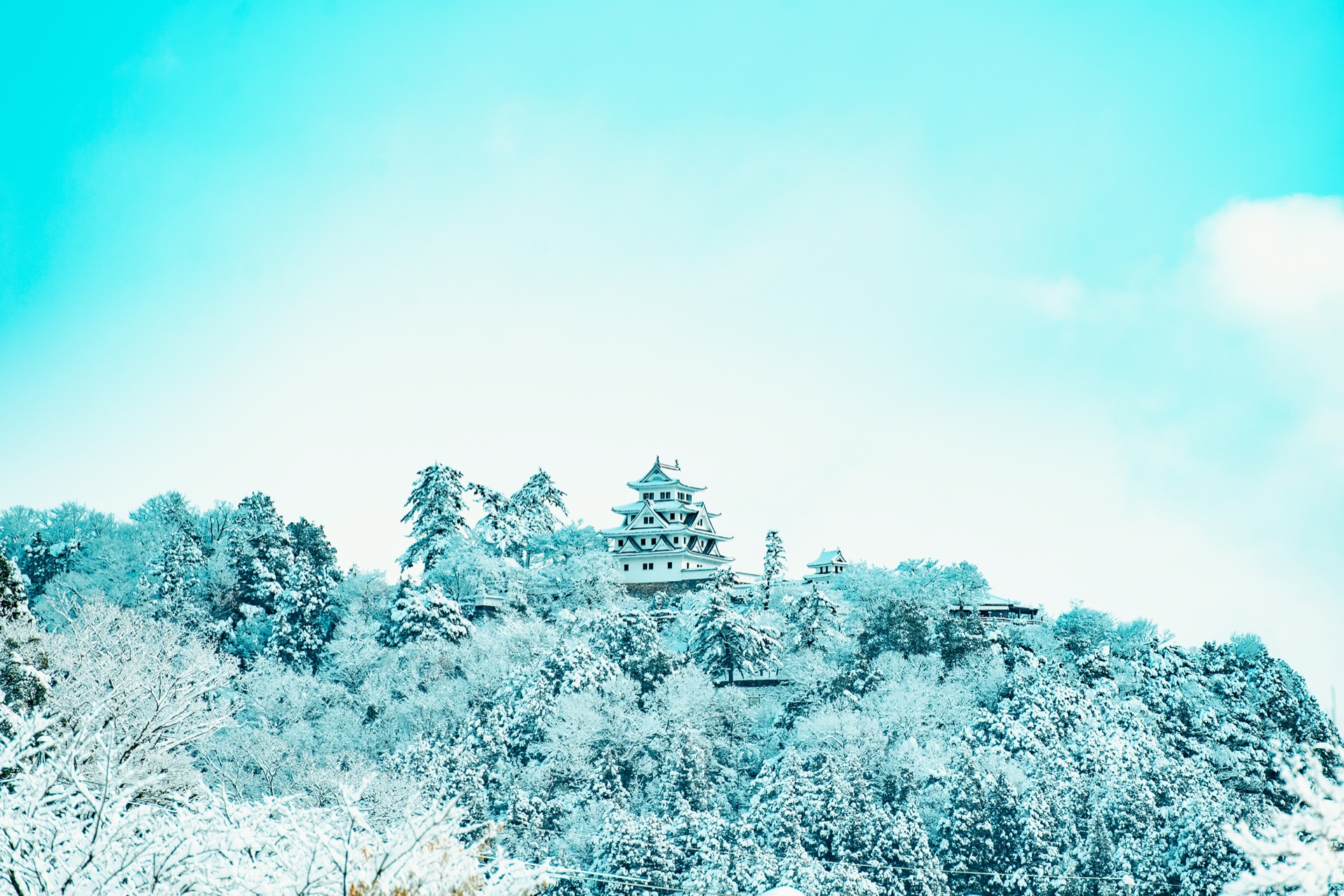 Go for a high-level winter trip to Gujo, one of the most popular snow resorts in Japan. image