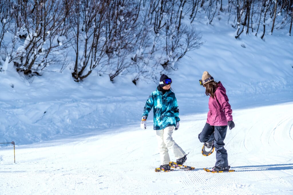 スノーシュートレッキングをする女性2名