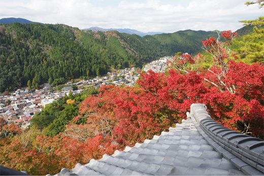 Autumn Leaves at Gujo Hachiman Castleimg3