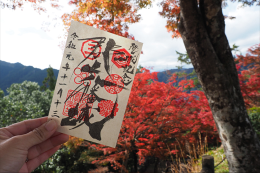 Autumn Leaves at Gujo Hachiman Castleimg5