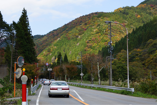 Autumn Leaves at Seseragi Kaidoimg18