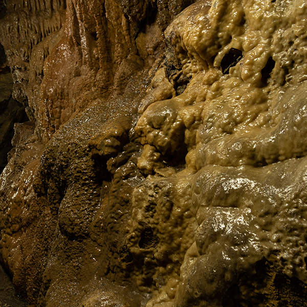 Otaki Limestone Cave