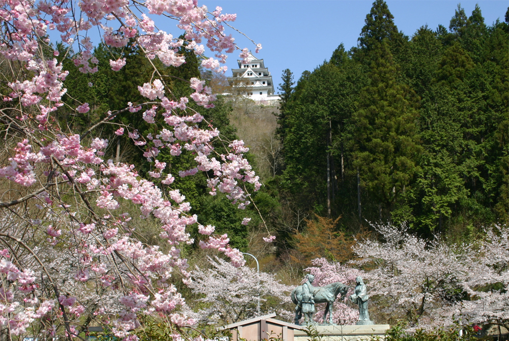 Come to visit every season! Four seasons at Gujo Hachiman Castle01