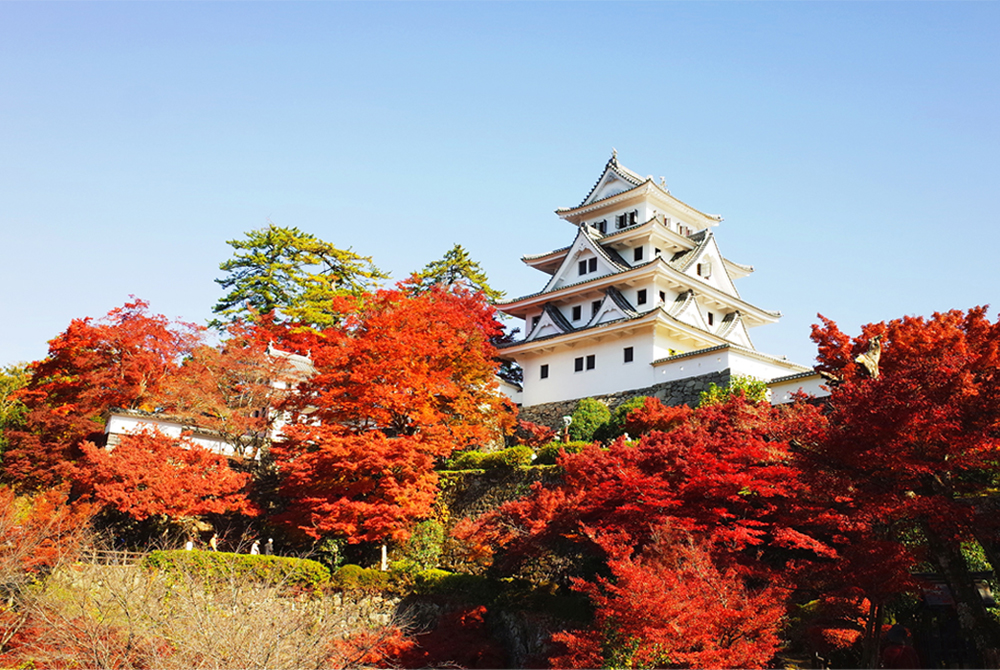 Come to visit every season! Four seasons at Gujo Hachiman Castle03