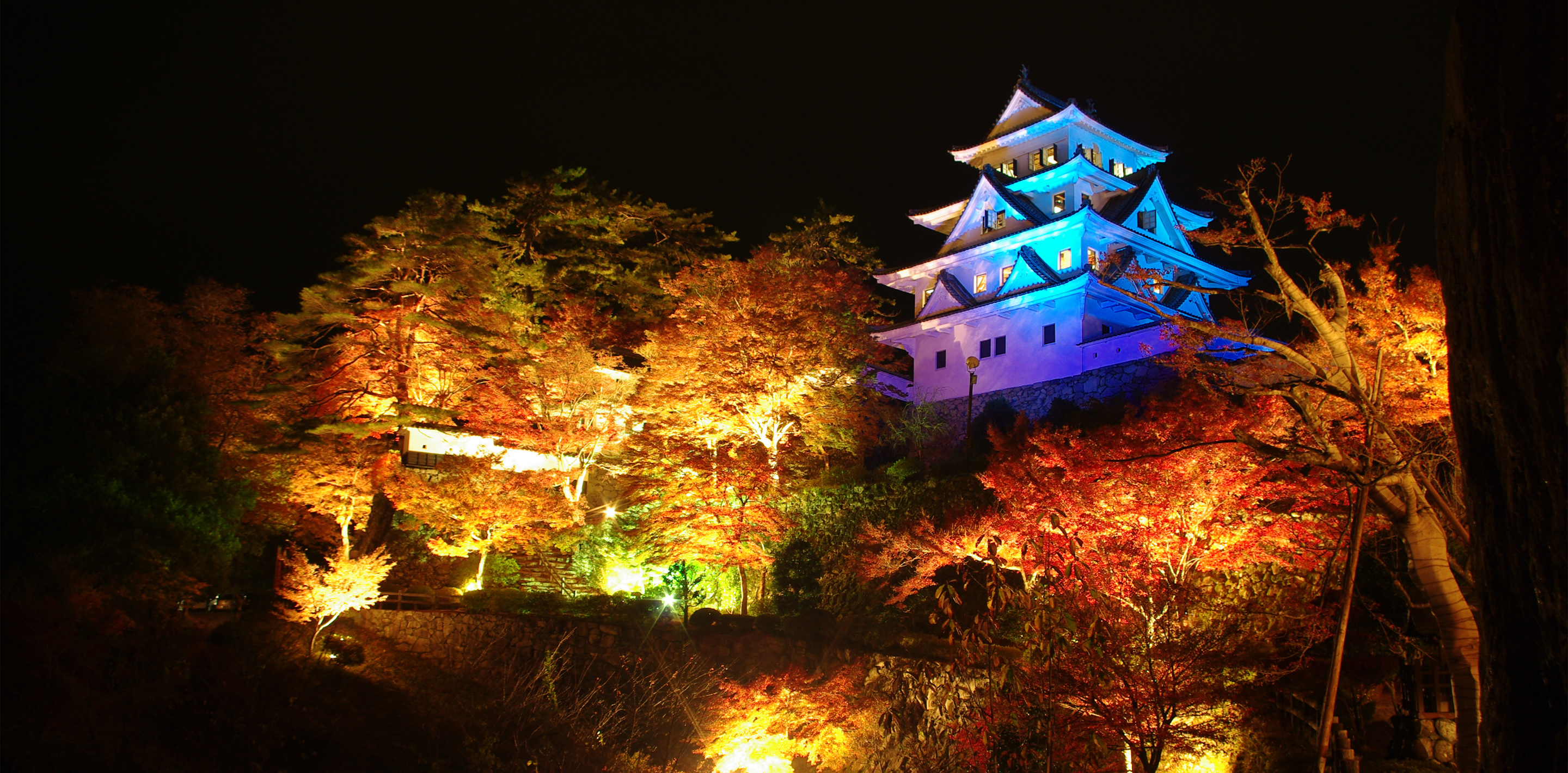 Come to visit every season! Four seasons at Gujo Hachiman Castle