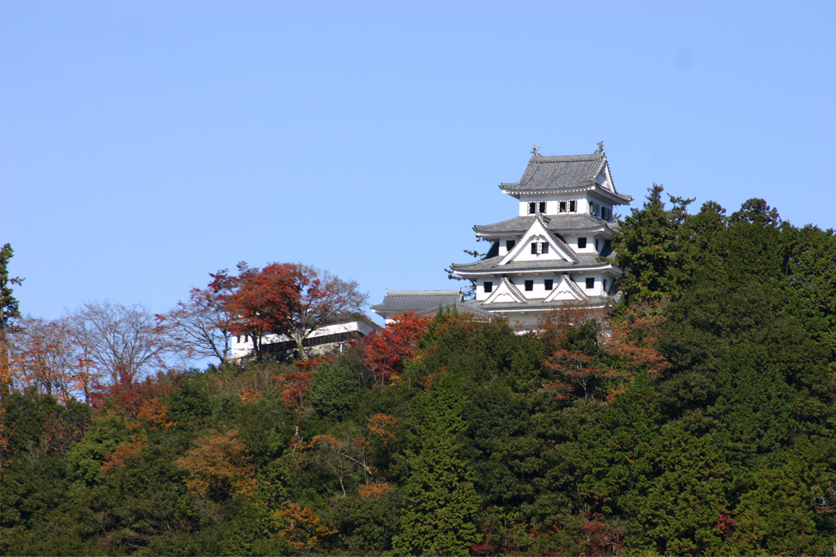 Gujo Hachiman Castle01