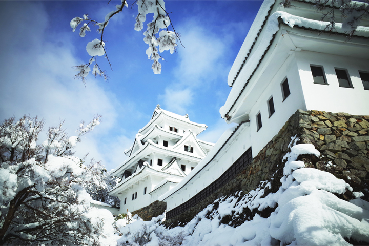 Gujo Hachiman Castle02-4