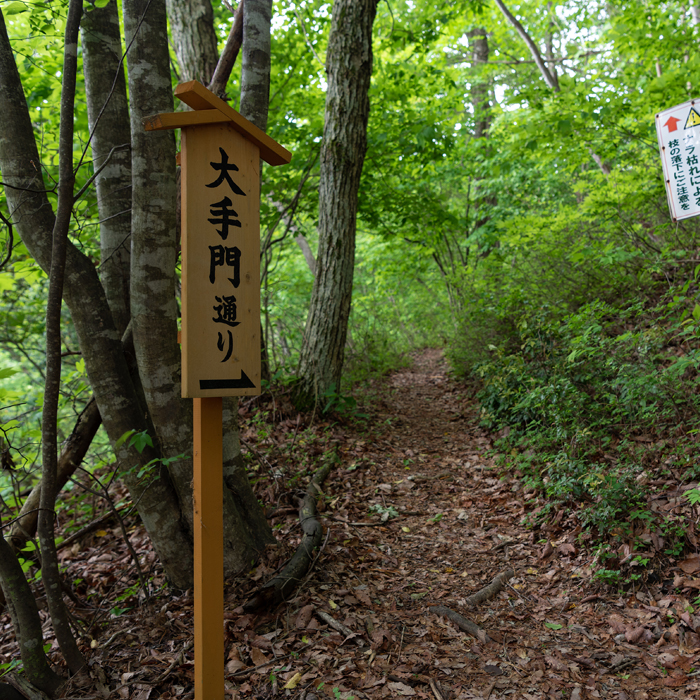 Otemon-dori (Main gate path)