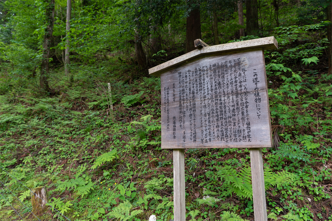 Remains of Shinowaki Castle13