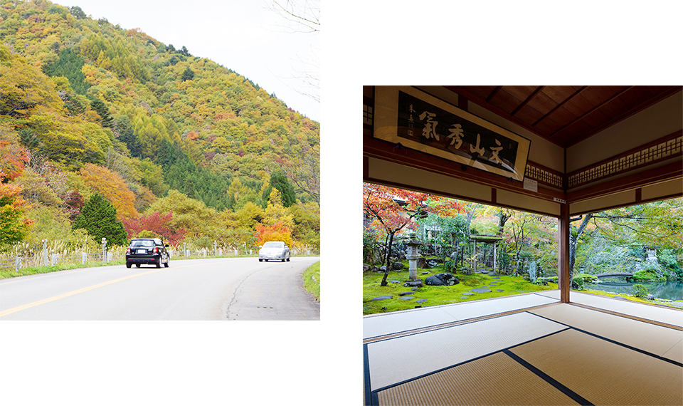 Driving route with seasonal enjoyment, Seseragi Kaido