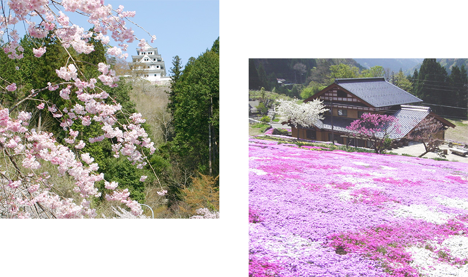 Driving route with seasonal enjoyment, Seseragi Kaido