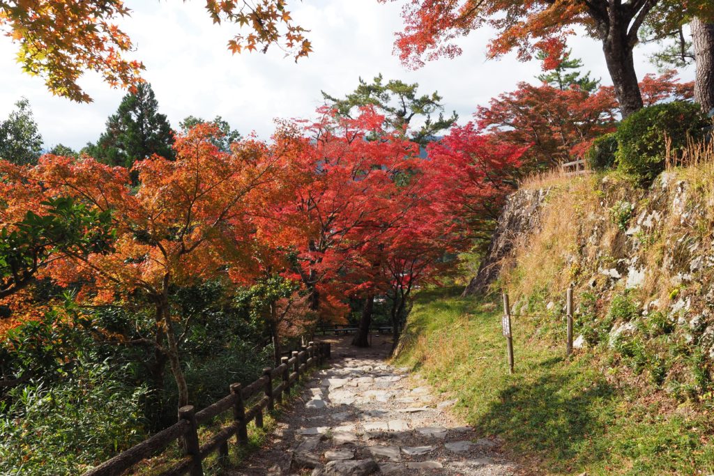 Little Kyoto, Autumn Leaf-peeping at Gujo Hachiman_05