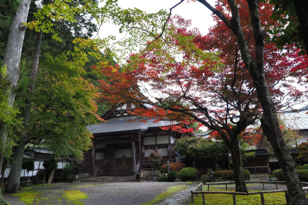 Little Kyoto, Autumn Leaf-peeping at Gujo Hachiman_19