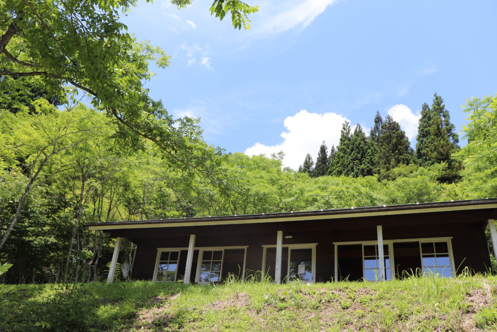 Enjoyable Blueberry Picking for Children & adult at Yamato area!04