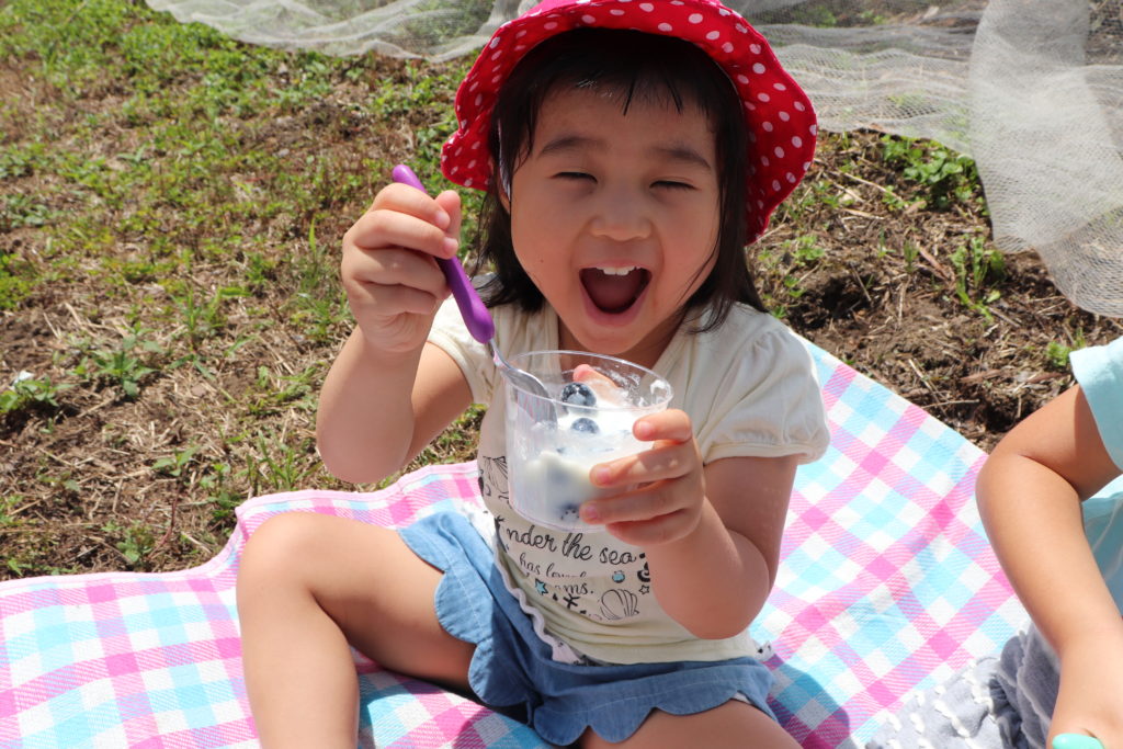 Enjoyable Blueberry Picking for Children & adult at Yamato area!14