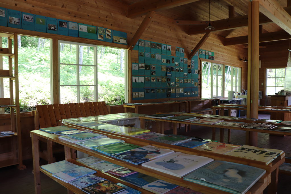 Enjoyable Blueberry Picking for Children & adult at Yamato area!19